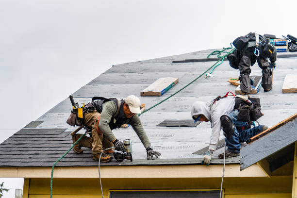Professional Gutter Installation technician working in Lamoni, IA